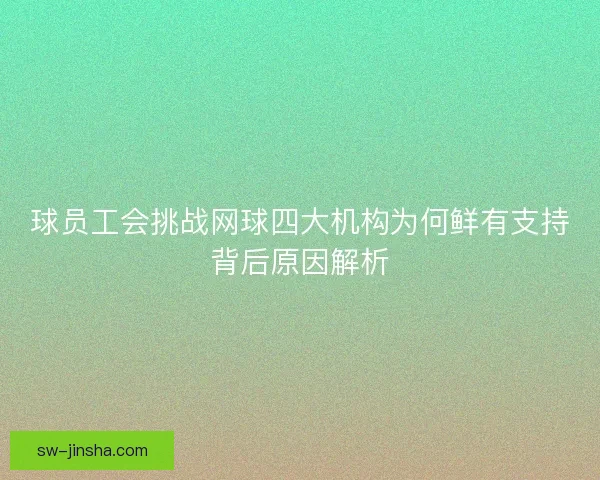 球员工会挑战网球四大机构为何鲜有支持背后原因解析