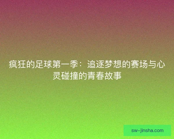 疯狂的足球第一季：追逐梦想的赛场与心灵碰撞的青春故事