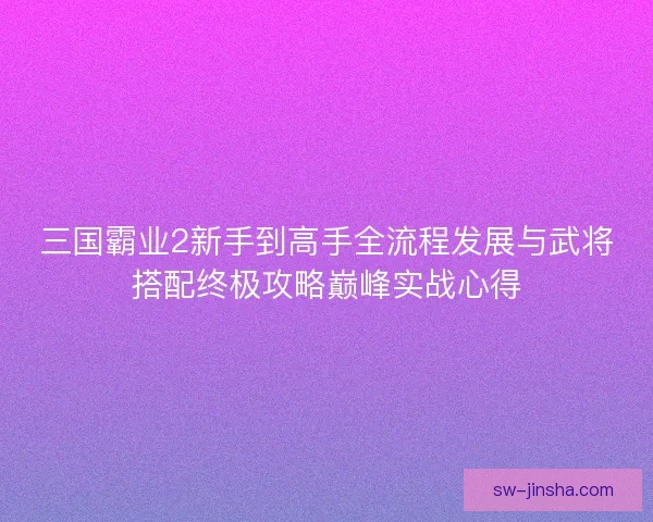 三国霸业2新手到高手全流程发展与武将搭配终极攻略巅峰实战心得