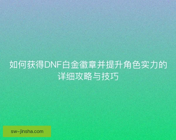 如何获得DNF白金徽章并提升角色实力的详细攻略与技巧