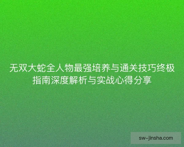 无双大蛇全人物最强培养与通关技巧终极指南深度解析与实战心得分享